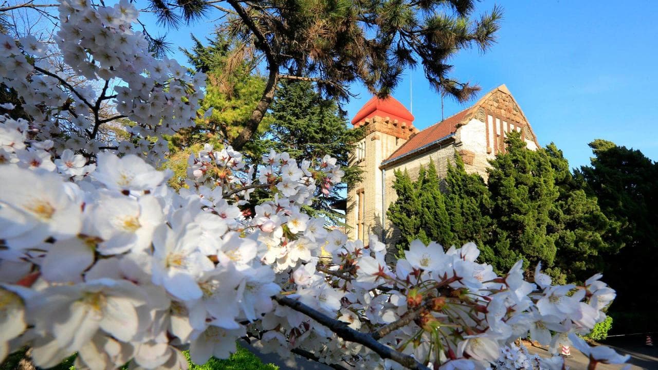 OUC-Campus-1